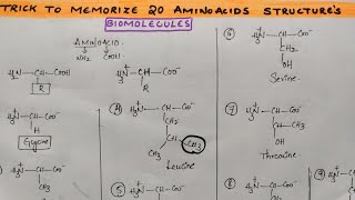 Trick to draw amp memorize 20 Amino acid structures from Biomolecules class 12 chemistry by Komali mam [upl. by Harald69]