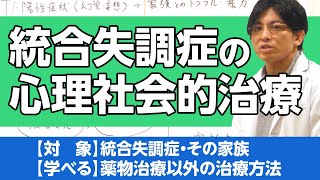 統合失調症の心理社会的治療を解説 早稲田メンタルクリニック 精神科医 益田裕介  schizophrenia [upl. by Htenek660]