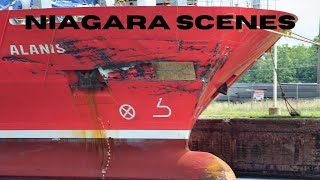 Collision Damage to Cargo Ships ALANIS and FLORENCE SPIRIT While Docked on the Welland Canal [upl. by Olihs366]