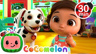 What Does a Dogs Woof Mean Ninas Pet Store Song  CoComelon  Nursery Rhymes for Babies [upl. by Sells]