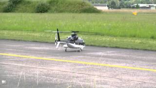 Autorotation with a very Big Scale Bell 430 RC Helicopter [upl. by Bina]