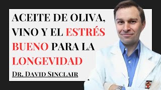 Hormesis estrés bueno en la Longevidad y Nutrición  Dr David Sinclair [upl. by Ettecul504]