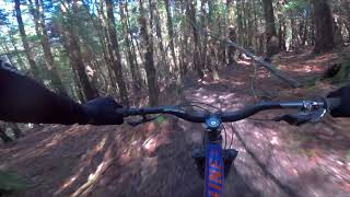 Tollymore Forest Park 11th May 2019 MTB Best Trails [upl. by Ykceb890]