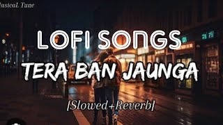 tera baan jaunga slowed reverb song 🎶💗 [upl. by Rehtae]