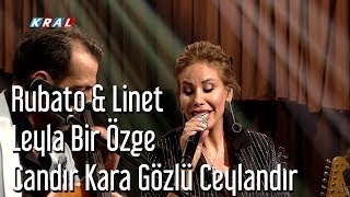 Rubato amp Linet  Leyla Bir Özge Candır Kara Gözlü Ceylandır [upl. by Bevin864]