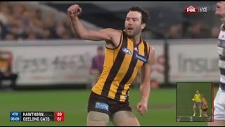 AFL 2014 2nd Qualifying Final  Hawthorn highlights vs Geelong [upl. by Mayap]