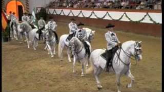 Royal Andalucian School of Equestrian Art [upl. by Nivlag]