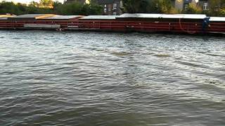 Ebbe und Flut  Gezeiten im Rhein Herne Kanal [upl. by Schreib]