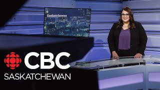 CBC SK News Reaction to Buffy SainteMaries claims of Indigenous identity biopsy backlog [upl. by Reppep]