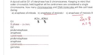 Genetics not a problem Mitosis and meiosis [upl. by Diver]