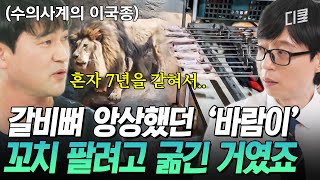 유퀴즈온더블럭 고작 닭꼬치 먹이려고 사자를 굶겼다고💢 7년 동안 학대받은 사자를 구조한 수의사계의 이국종 김정호 자기님 [upl. by Baptiste]