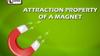 Attractive Property of Magnets  Experiment  Science [upl. by Otecina]