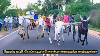 rekla race நெருப்பு ஒட்டு கோட்டையூர் கணேசன் அண்ணனுக்கு வாழ்த்துக்கள் 👌 [upl. by Vanhook61]