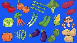 Learn Vegetables Vocabulary  Talking Flashcards [upl. by Delilah]