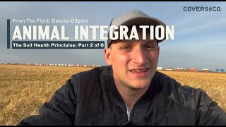 From The Field Soil Health Principles 2 Animal Integration [upl. by Itsirhc]