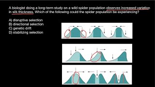 Disruptive Stabilizing Directional selections explained [upl. by Nayllij276]