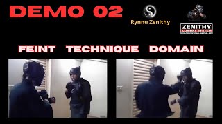 DEMO 02  FEINT TECHNIQUE DOMAIN  Rynnu Zenithy [upl. by Aneed]