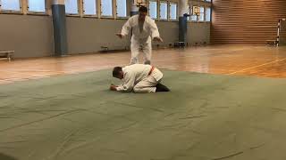 Judo  Rolle vorwärts Hindernis [upl. by Fredela]