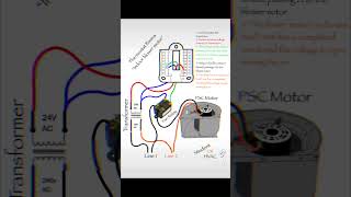 HVAC thermostat wiring basics [upl. by Oelgnaed750]