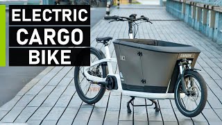 Top 10 Best Electric Cargo Bikes [upl. by Constantine]