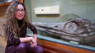 Curiosities of the Natural History Museum London  Ep 2 Mary Annings first Ichthyosaur amp Plesiosaur [upl. by Alaecim]