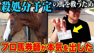 競馬の払戻を全額寄付しました。 [upl. by Eenimod]