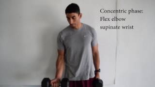 How to Perform the Biceps Curl ACSM CPT Exam Prep [upl. by Eerahs]