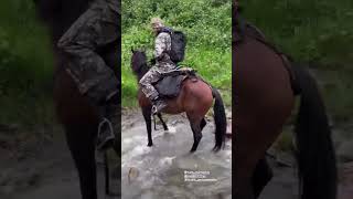 Horse hiking with Khabib😎Islam Makhachev daily vlog [upl. by Im]