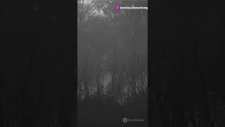 haunted forest  Kwentong Aswang  Aswang True Story  Aswang Stories [upl. by Wohlen]