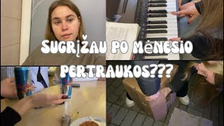 Vlog 35  Diena su manim mokyklos vlogas [upl. by Ber]