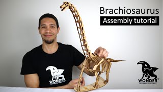 Brachiosaurus 3D Wooden Model Kit  Assembly Tutorial [upl. by Toddy]