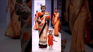 Cats Family Fashion Show 😻💫💃 cat baby shorts trending [upl. by Eiblehs]