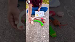 New Rc Snake vs Centipede Unboxing rc rctoys shorts [upl. by Saval]