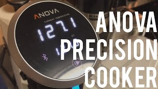 Anova Sous Vide Precision Cooker Review and Steak Test [upl. by Isleana]