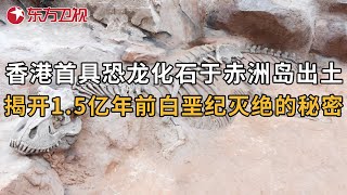 香港赤洲岛出土首具完整恐龙化石 揭开15亿年前白垩纪恐龙灭绝的秘密 中国考古报道 ｜FULL [upl. by Aekahs574]