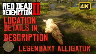 RDR2 LEGENDARY ALLIGATOR  LOCATION SOUTH OF LAGRAS LEMOYNE  RED DEAD REDEMPTION 2 [upl. by Nomyaw]