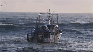 FV Claymore crossing a calmer Greymouth Bar todayNZ  1262023 [upl. by Nowujalo678]