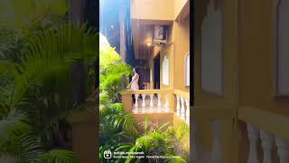 Justa Morjim Beach Resort Hotel in Goa tushita travelvlog hotelvideo vacation shorts goahotel [upl. by Sitrik]