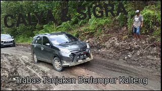 Calya Vs Sigra Trabas Tanjakan Berlumpur Jalur Offroad [upl. by Gary245]