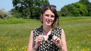 How to take part in the Big Butterfly Count with Lucy Lapwing [upl. by Kath496]