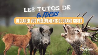 Tuto  Déclaration des prélèvements de grand gibier [upl. by Epilihp]