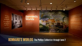 Pierre Bonnards Dazzling World of Color at the Phillips Collection  Around Town Best Bets [upl. by Arbmahs]