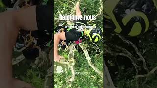 Rejoigneznous  élagage climbing arboriste petzl rope treework protos hévéa élagueur [upl. by Ailegave206]