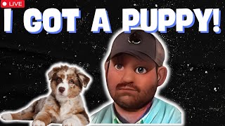 He Got A Puppy And got rid of 2 Cats Snake and threw stuff out of the room [upl. by Goodard]