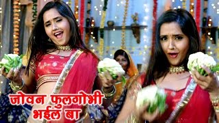 Superhit Song  जोबन फूलगोभी भईल बा  Devra Bhail Deewana  Kajal Raghwani Bhojpuri Song 2024 [upl. by Schlessel]