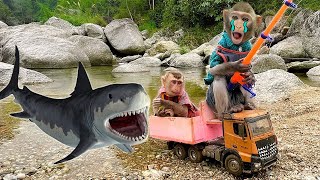 Best moments Little monkey Bim Bim meets a shark  Full version [upl. by Ynna710]