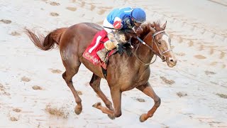 The Smarty Jones Stakes  2022  Dash Attack [upl. by Ursula649]