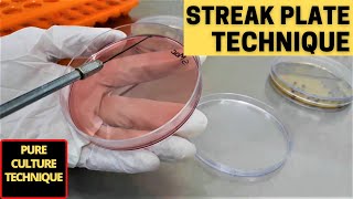 Streak Plate Technique for The Isolation of Pure CultureA Complete Procedure Microbiology [upl. by Yelsel]