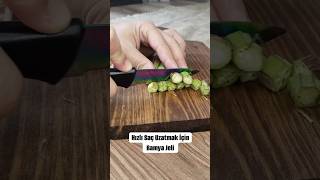 Bamya bamyajeli okra food saç hair saçbakımı [upl. by Oicneserc106]