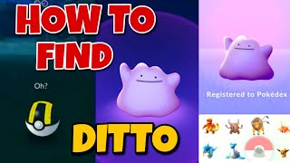 How To Find Ditto Pokemon Very Easy In Pokemon Go 2023 Latest Hindi 🔥viral gaming trending [upl. by Saturday]